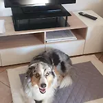 Ca Dai Noni - Family & Pet Friendly - Terrace - Near Maggiore 아파트