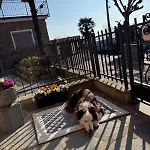 아파트 Ca Dai Noni - Family & Pet Friendly - Terrace - Near Maggiore Feriolo