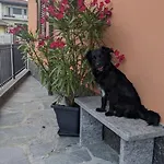 Ca Dai Noni - Family & Pet Friendly - Terrace - Near Maggiore 아파트