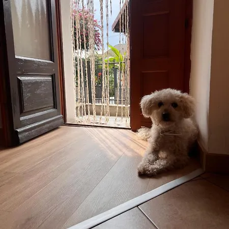 Apartment Ca Dai Noni *