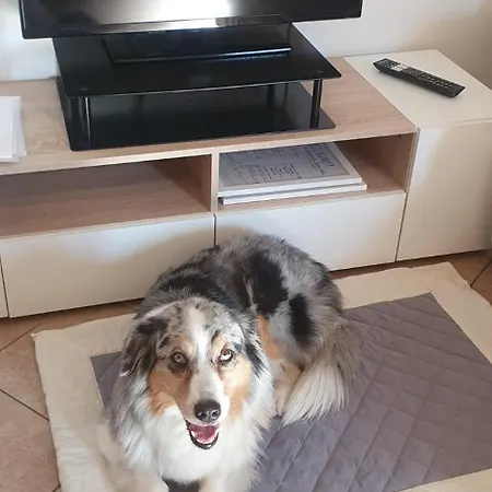 Ca Dai Noni Apartamento
