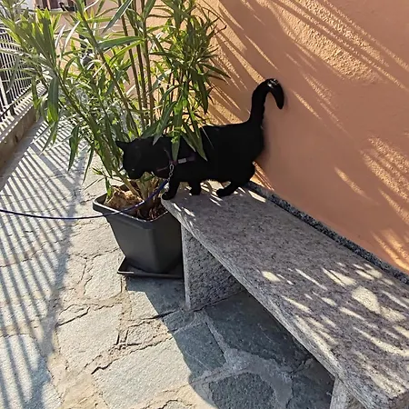 Cà Dai Noni - Family&pet Friendly - Terrace - Near Maggiore Feriolo