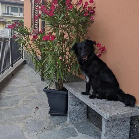 Ca Dai Noni - Family & Pet Friendly - Terrace - Near Maggiore דירה
