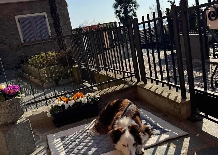 Appartement Ca Dai Noni - Family & Pet Friendly - Terrace - Near Maggiore Feriolo