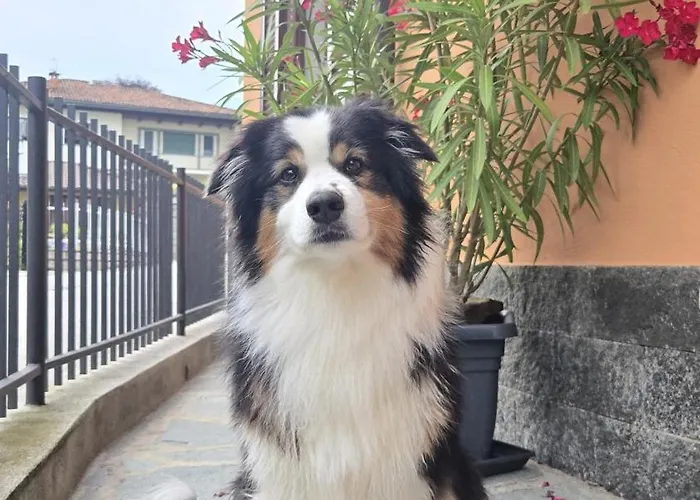 Ca Dai Noni - Family & Pet Friendly - Terrace - Near Maggiore Appartement