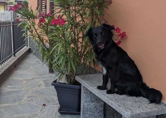 Ca Dai Noni - Family & Pet Friendly - Terrace - Near Maggiore Appartement